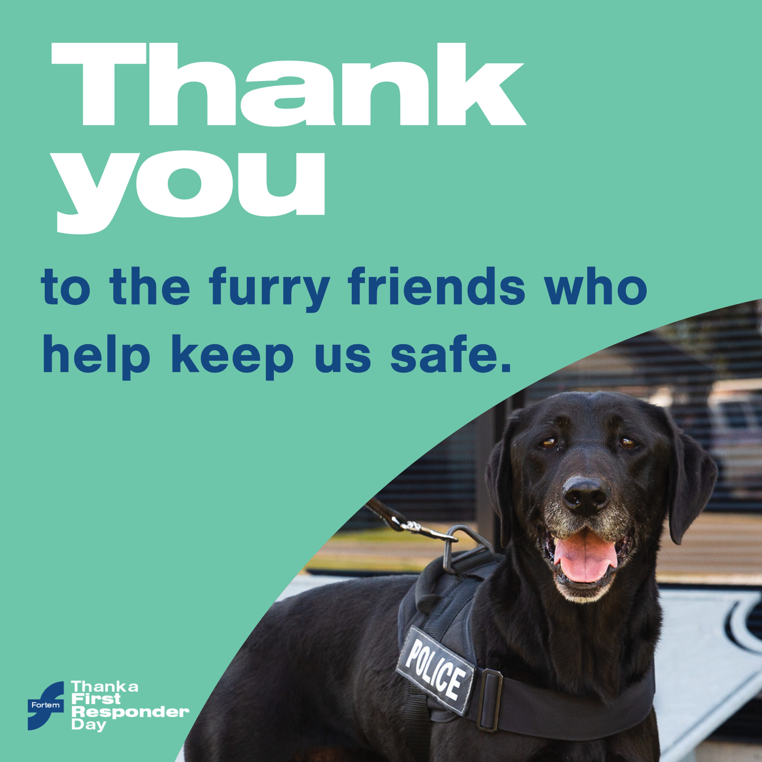 Day 5: Thank you to the furry friends who help keep us safe.